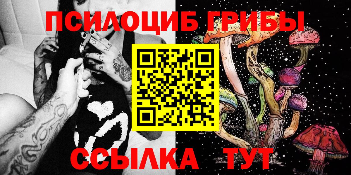 Псилоцибиновые грибы Psilocybine cubensis Жуковский